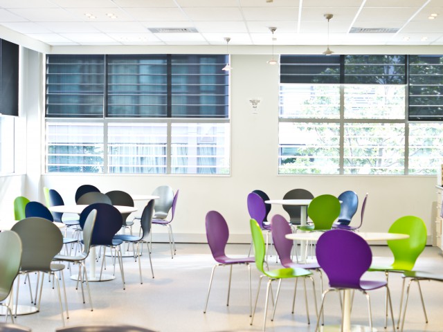 ニュージーランドランゲージセンター オークランド校