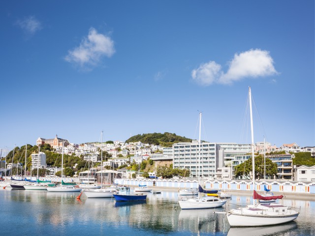 ニュージーランドランゲージセンター ウェリントン校