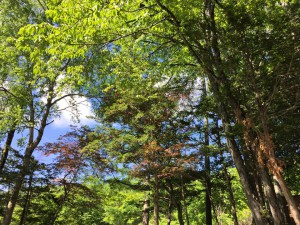 21009_866017466778967_786298899291198980_n