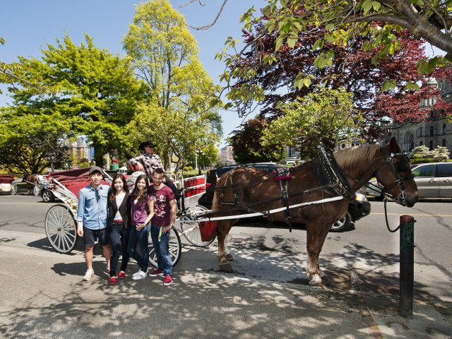 グローバルビレッジイングリッシュセンター ビクトリア校