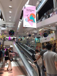 15183821_1206517879423502_633841778_o