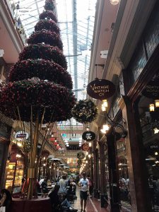 15215937_1208173055924651_138868005_o