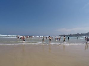 15216169_1210401405701816_1525419562_o