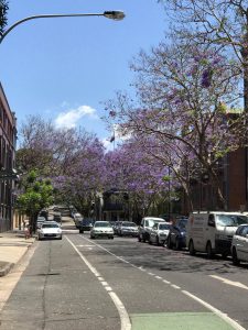 15225275_1206517876090169_1556443689_o