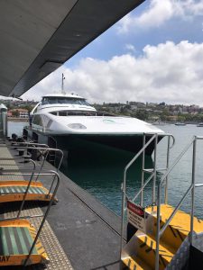 15231465_1211838138891476_1660372366_o