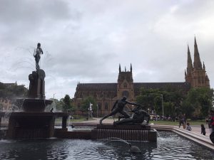 15233753_1208173082591315_1283867802_o