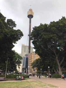 15271305_1208173075924649_1773581391_o