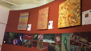 15293297_1218761844865772_1574974463_o