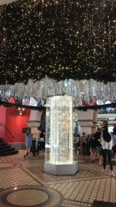 15369828_1223832651025358_1010000545_o