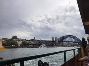 15491540_1235033923238564_689639926_o