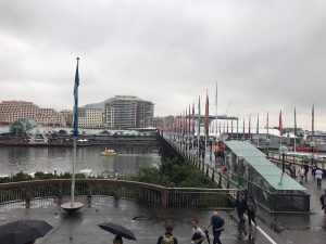 15537091_1237015563040400_1463850298_o