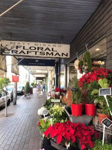 15658608_1246249325450357_581628263_o