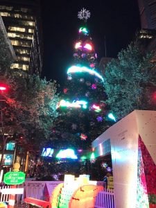 15697112_1252530958155527_1308056655_o