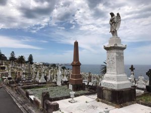 15748286_1252531338155489_1696771919_o