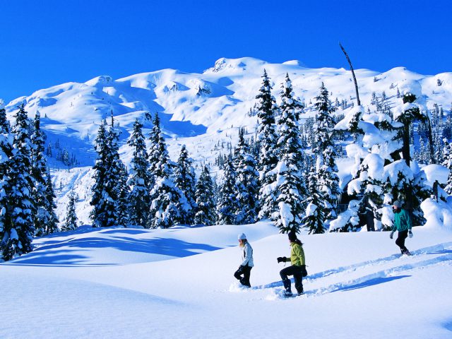 タムウッド ランゲージセンター ウィスラー校
