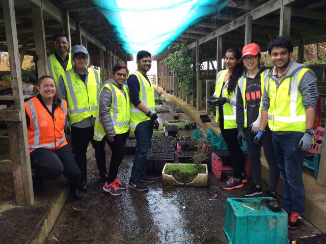 クラウンインスティチュートオブスタディーズ