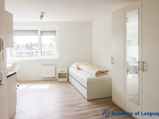 F+Uアカデミー オブ ランゲージ ハイデルベルク校