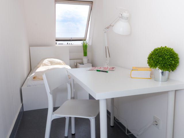 F+Uアカデミー オブ ランゲージ ベルリン校