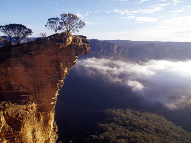 イングリッランゲージカンパニー　シドニー校